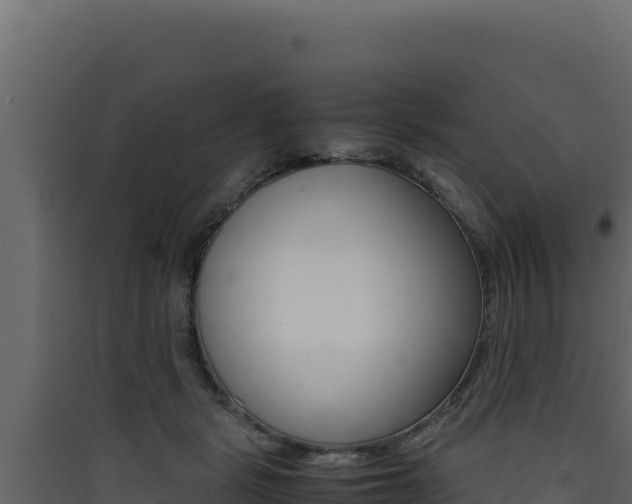 X0000090430461200707131012