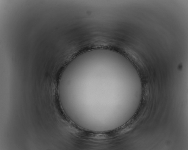X0000090430463200707131012