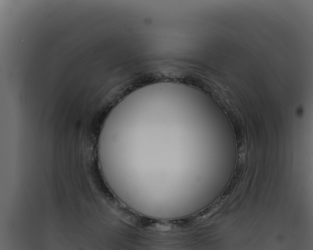X0000090430464200707131012