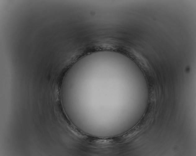 X0000090430465200707131012