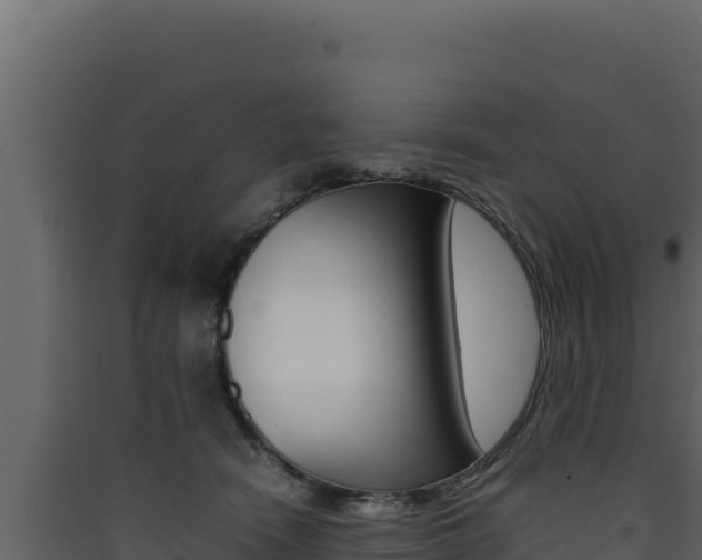 X0000090430466200707131012