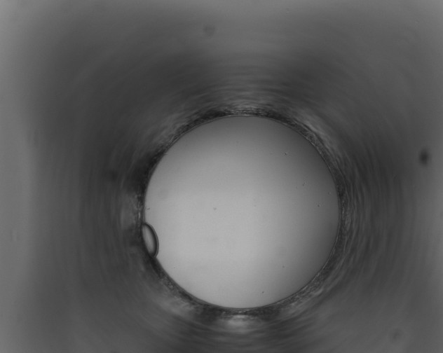 X0000090430467200707131012