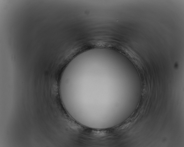 X0000090430469200707131012