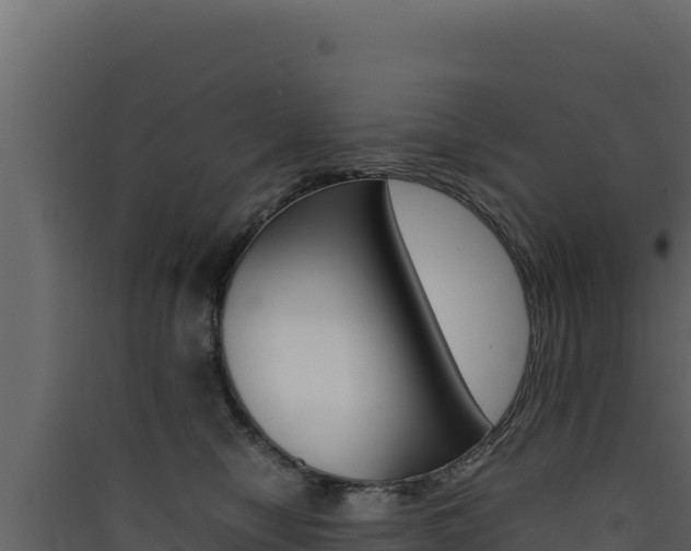 X0000090430470200707131012