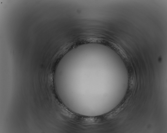 X0000090430473200707131012