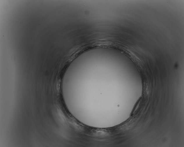 X0000090430475200707131012