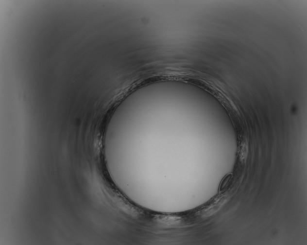 X0000090430476200707131012