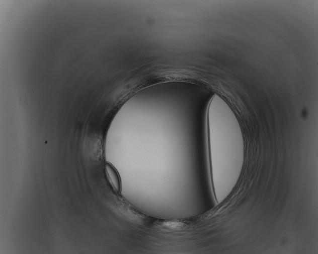 X0000090430478200707131012