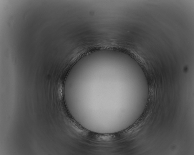 X0000090430479200707131012