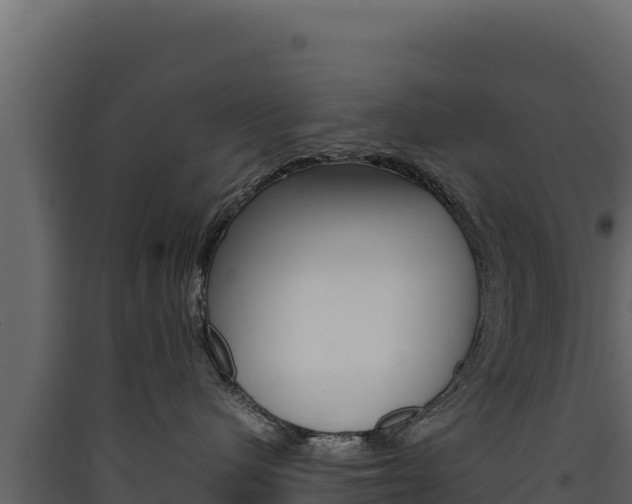 X0000090430480200707131012