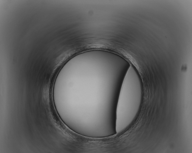 X0000090430482200707131011