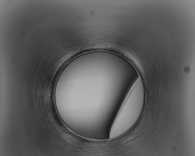 X0000090430483200707131011