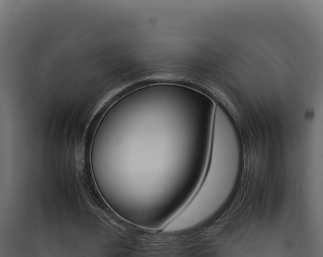 X0000090430484200707131011