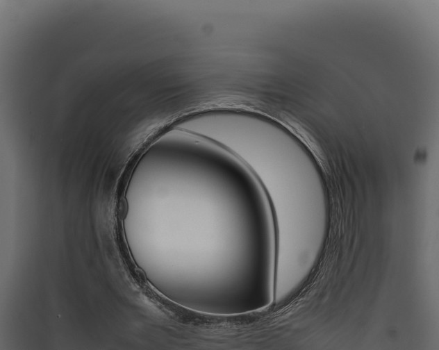 X0000090430485200707131011