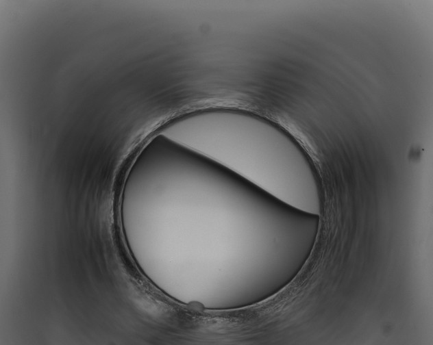 X0000090430486200707131011