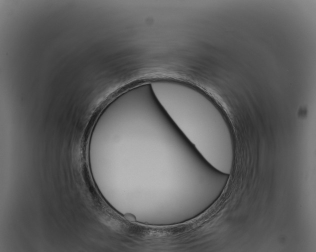 X0000090430487200707131011