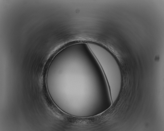 X0000090430488200707131011