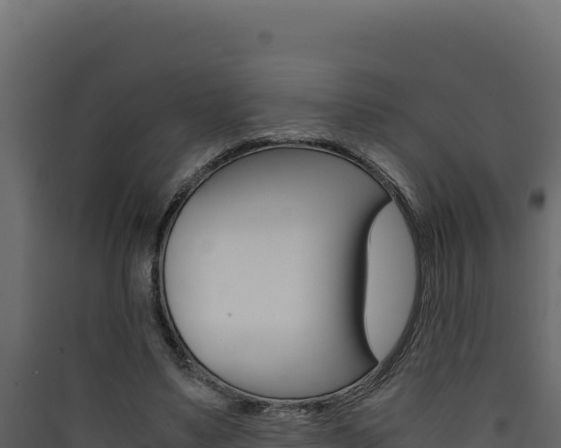 X0000090430491200707131011