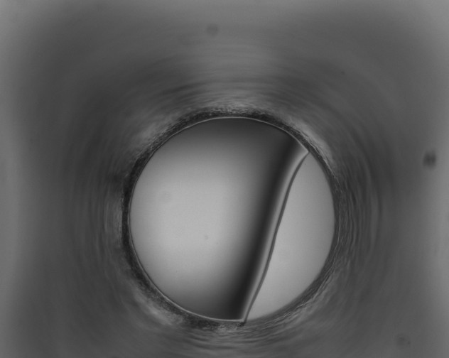 X0000090430493200707131011