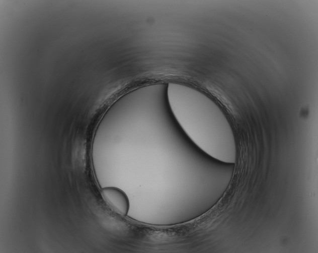 X0000090430494200707131011