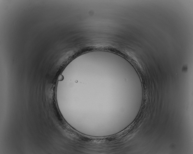 X0000090430495200707131011
