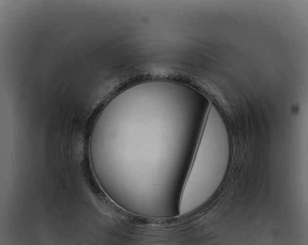 X0000090430496200707131011