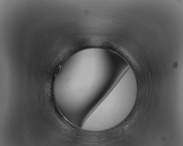 X0000090430497200707131011