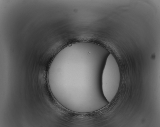 X0000090430498200707131011