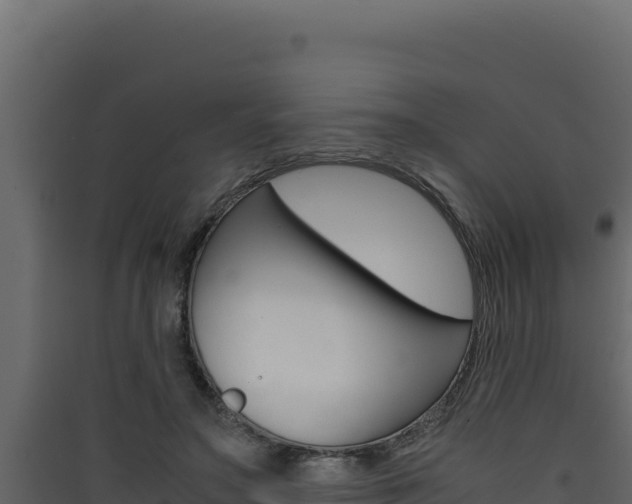 X0000090430499200707131011