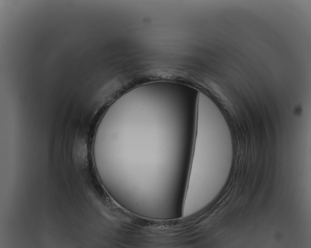 X0000090430500200707131011