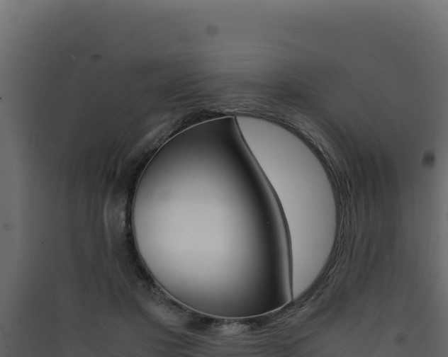 X0000090430501200707131011