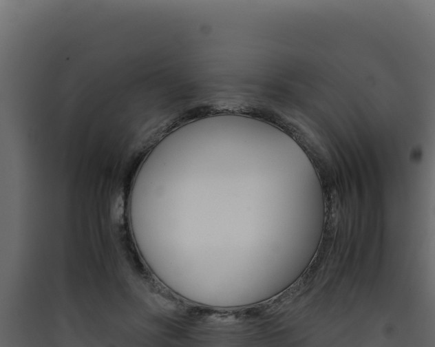 X0000090430502200707131011