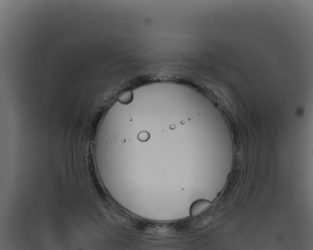 X0000090430503200707131011