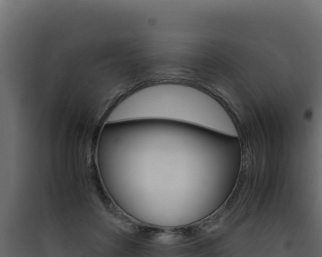 X0000090430504200707131011