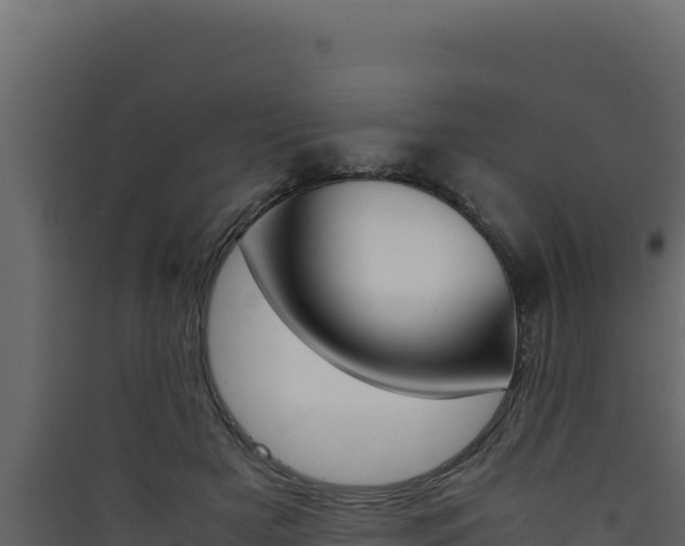 X0000090430505200707131011