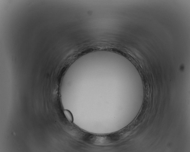 X0000090430507200707131011