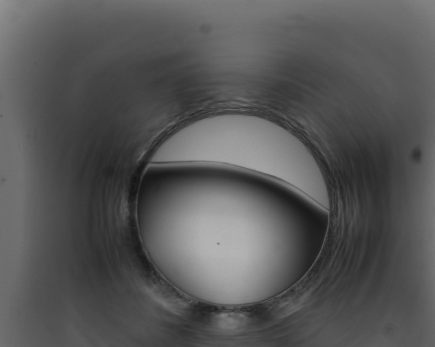 X0000090430508200707131011