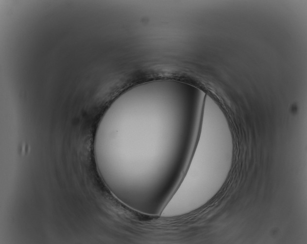 X0000090430509200707131011