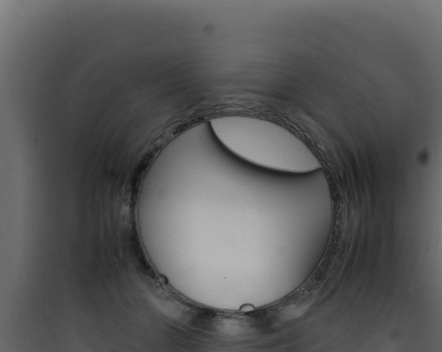 X0000090430510200707131011