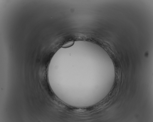 X0000090430511200707131011