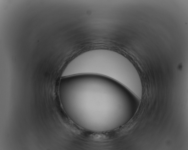 X0000090430512200707131011