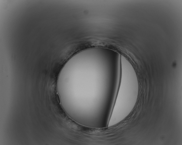 X0000090430513200707131011