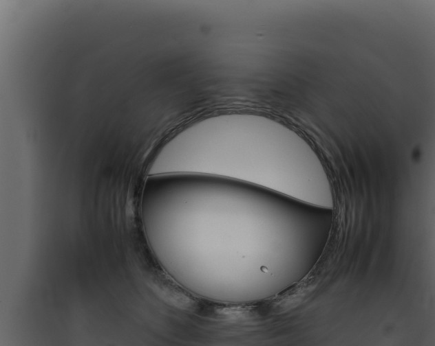 X0000090430516200707131011
