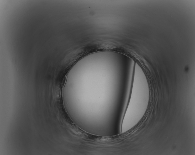 X0000090430517200707131011