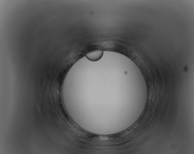 X0000090430518200707131011