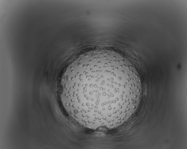X0000090430519200707131011