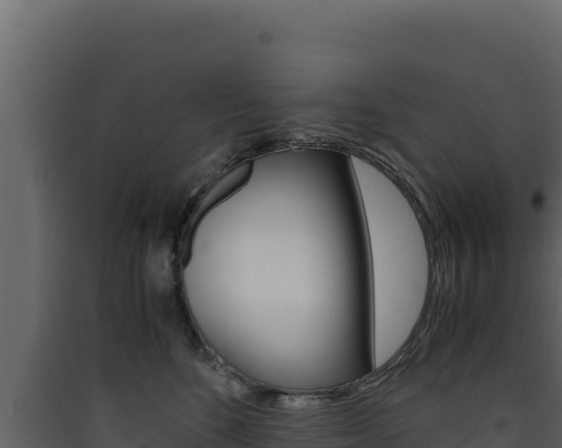 X0000090430520200707131011