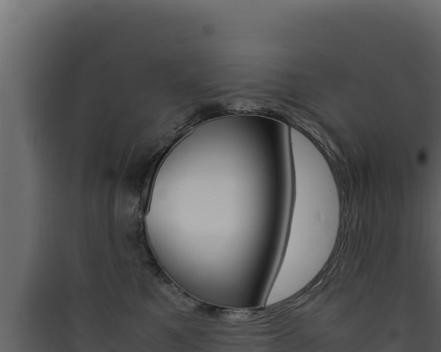 X0000090430521200707131011
