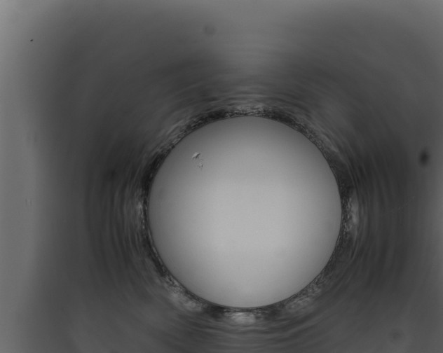 X0000090430522200707131011