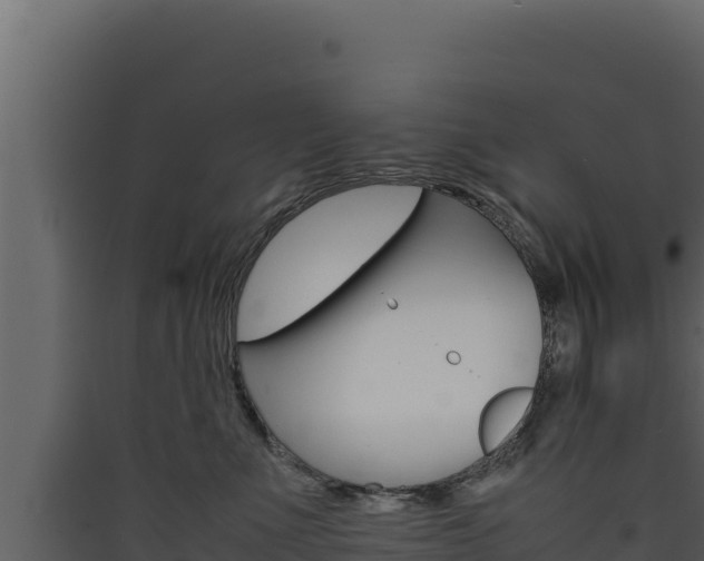 X0000090430523200707131011